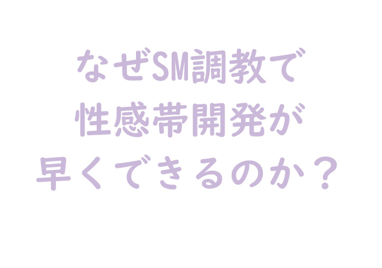 性感帯開発スピードアップ